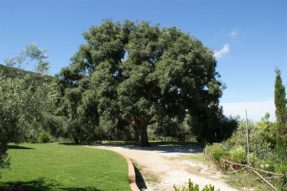 Azienda Agricola Il Bagolaro Hotell Nerola Exteriör bild