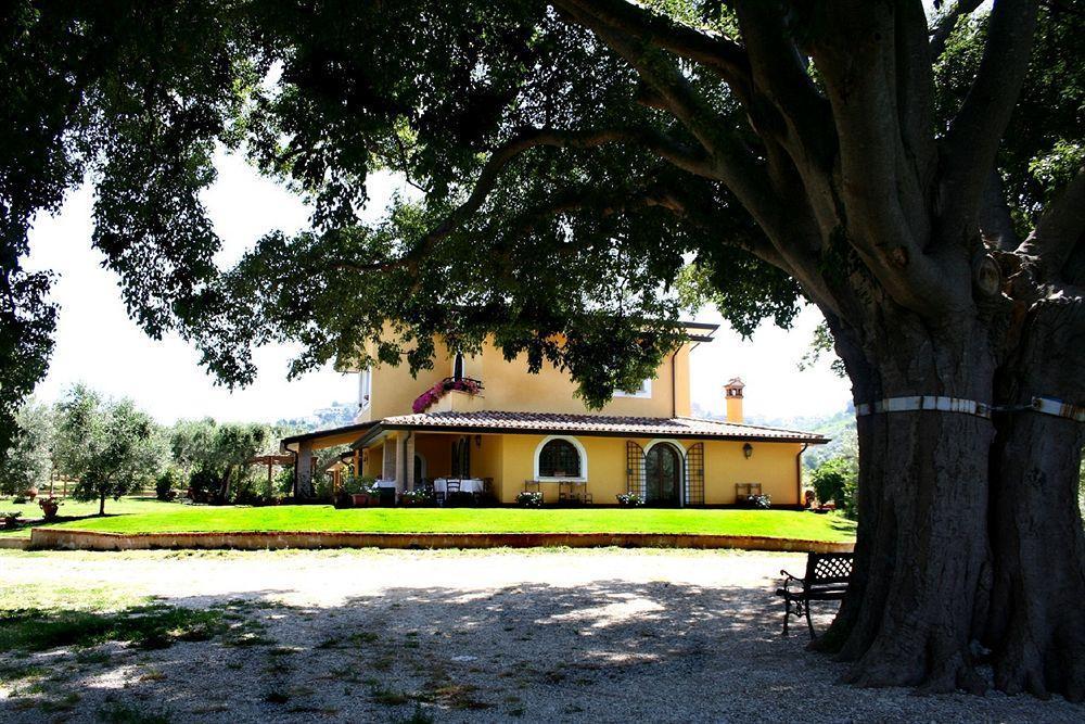 Azienda Agricola Il Bagolaro Hotell Nerola Exteriör bild